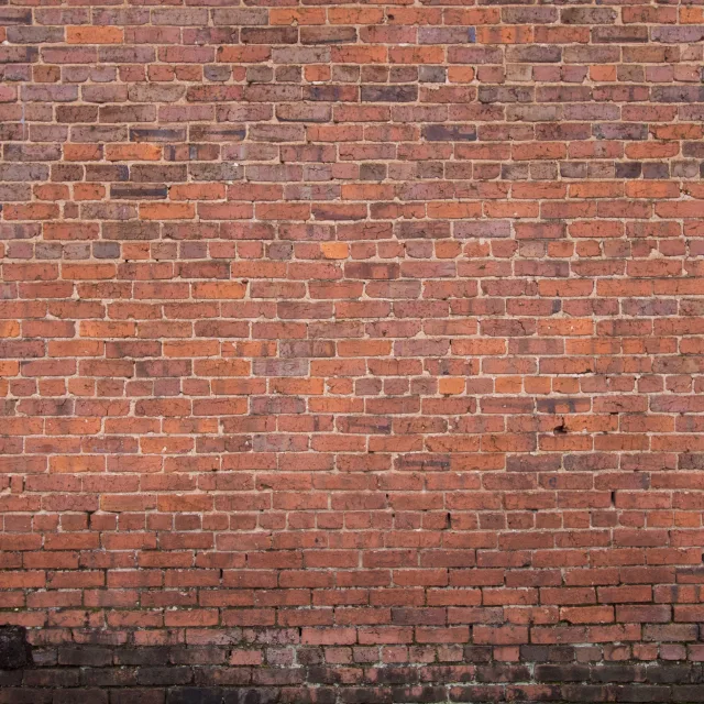 งานโครงสร้างระหว่างก่อสร้าง